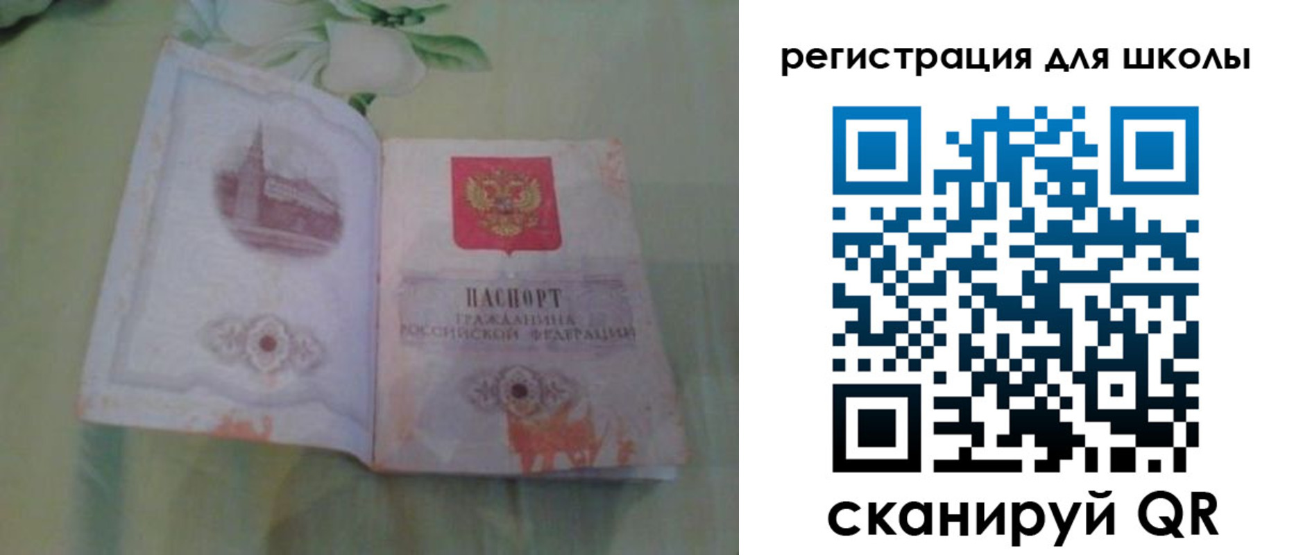временная регистрация поиск в Амурской области